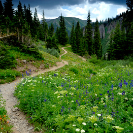 Meditate While Hiking